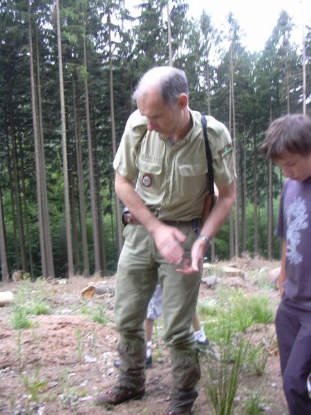 Promenade en forêt